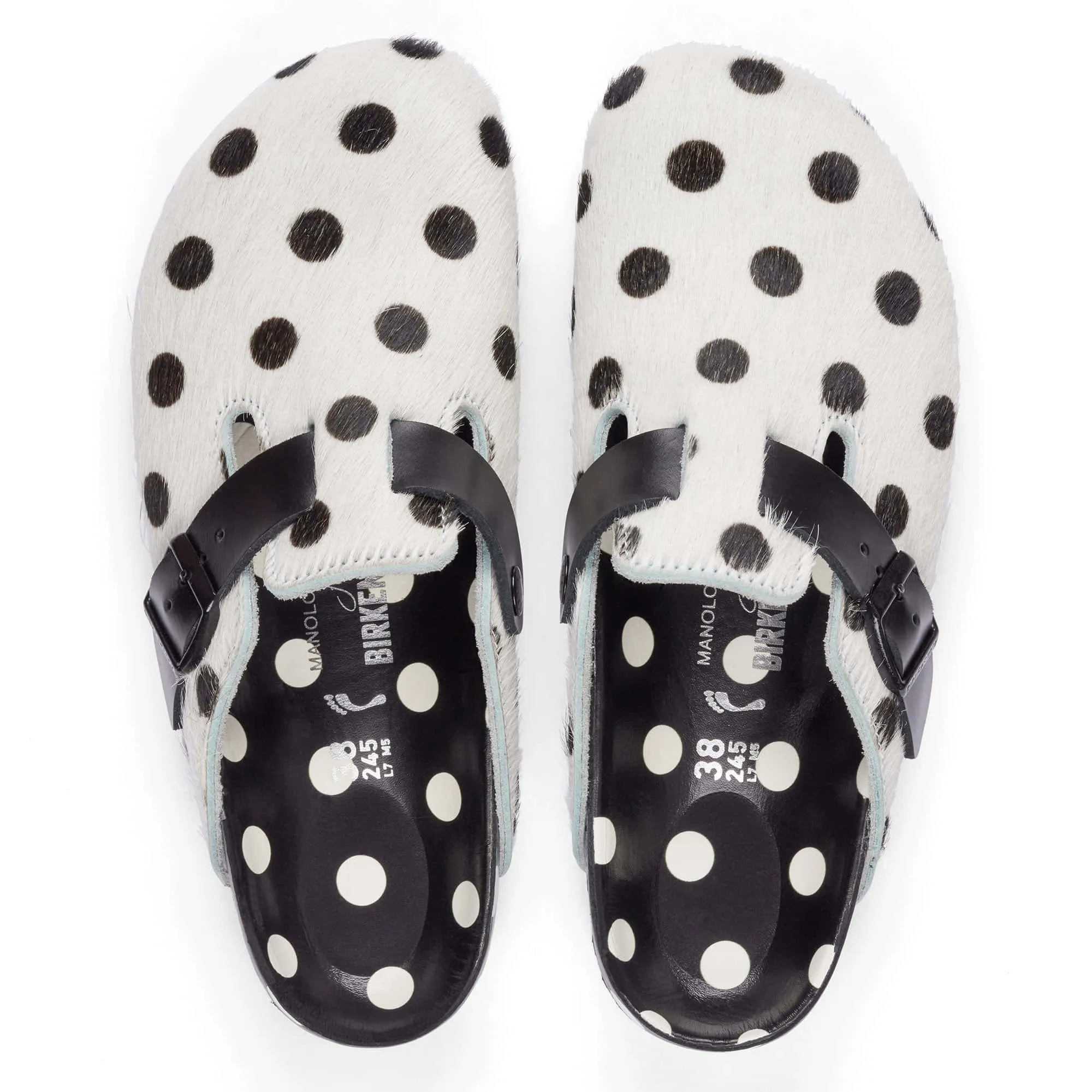 Boston Manolo Polka Dots